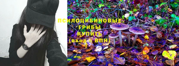 гашик Алзамай