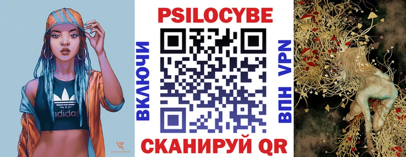 Галлюциногенные грибы Psilocybine cubensis  Серафимович 